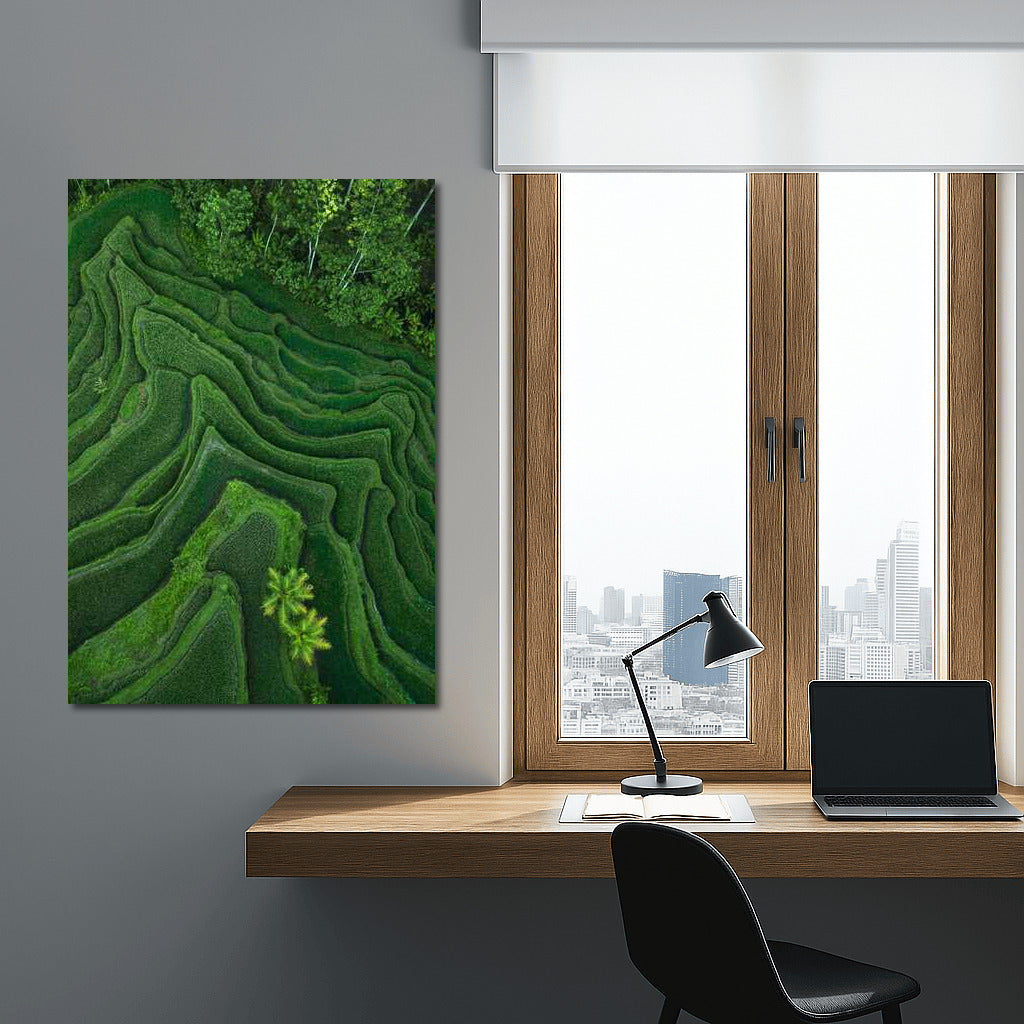 Emerald Terraces: Harmony of Rice Fields