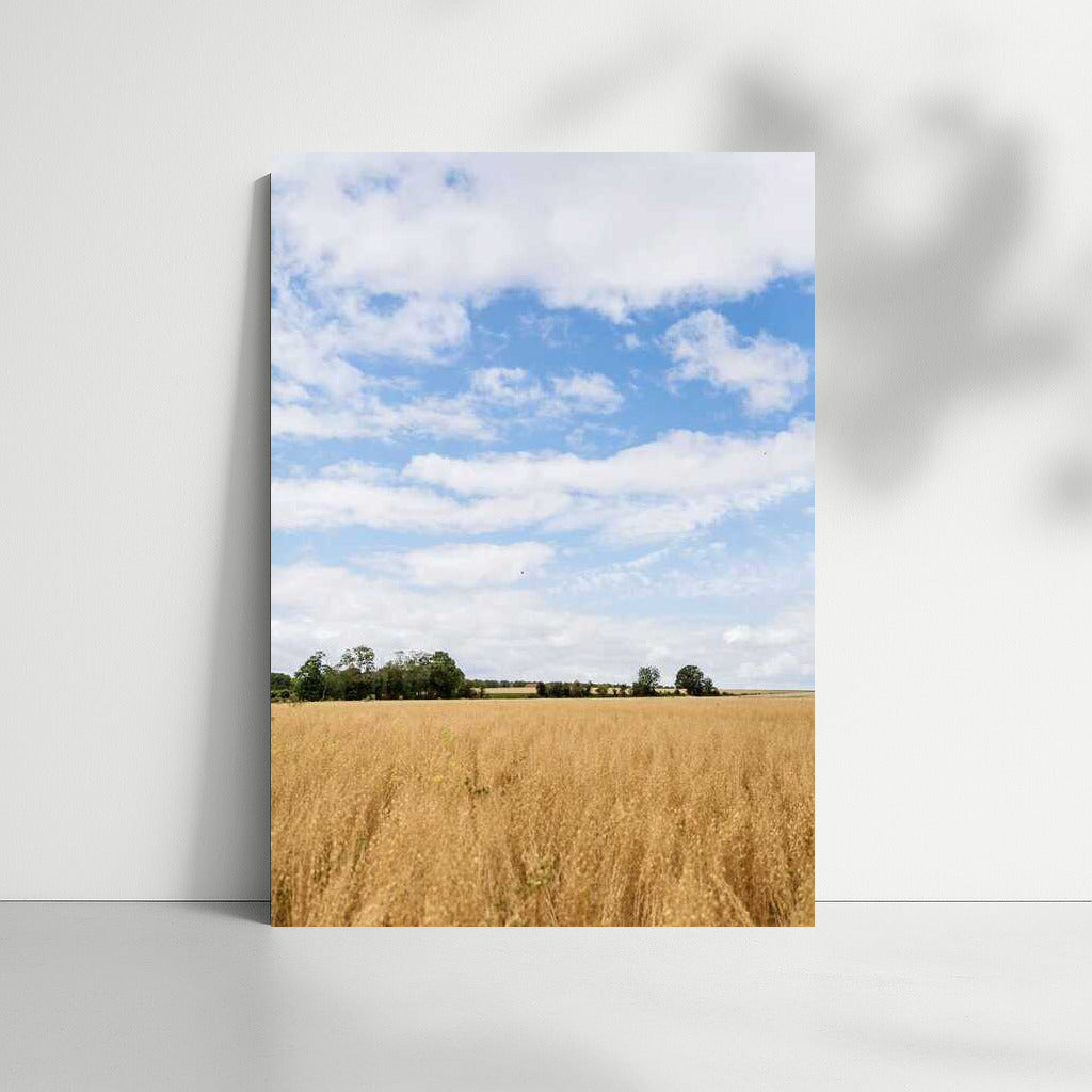 Blooming Fields and Endless Sky: Natural Landscapes and Rural Spaces