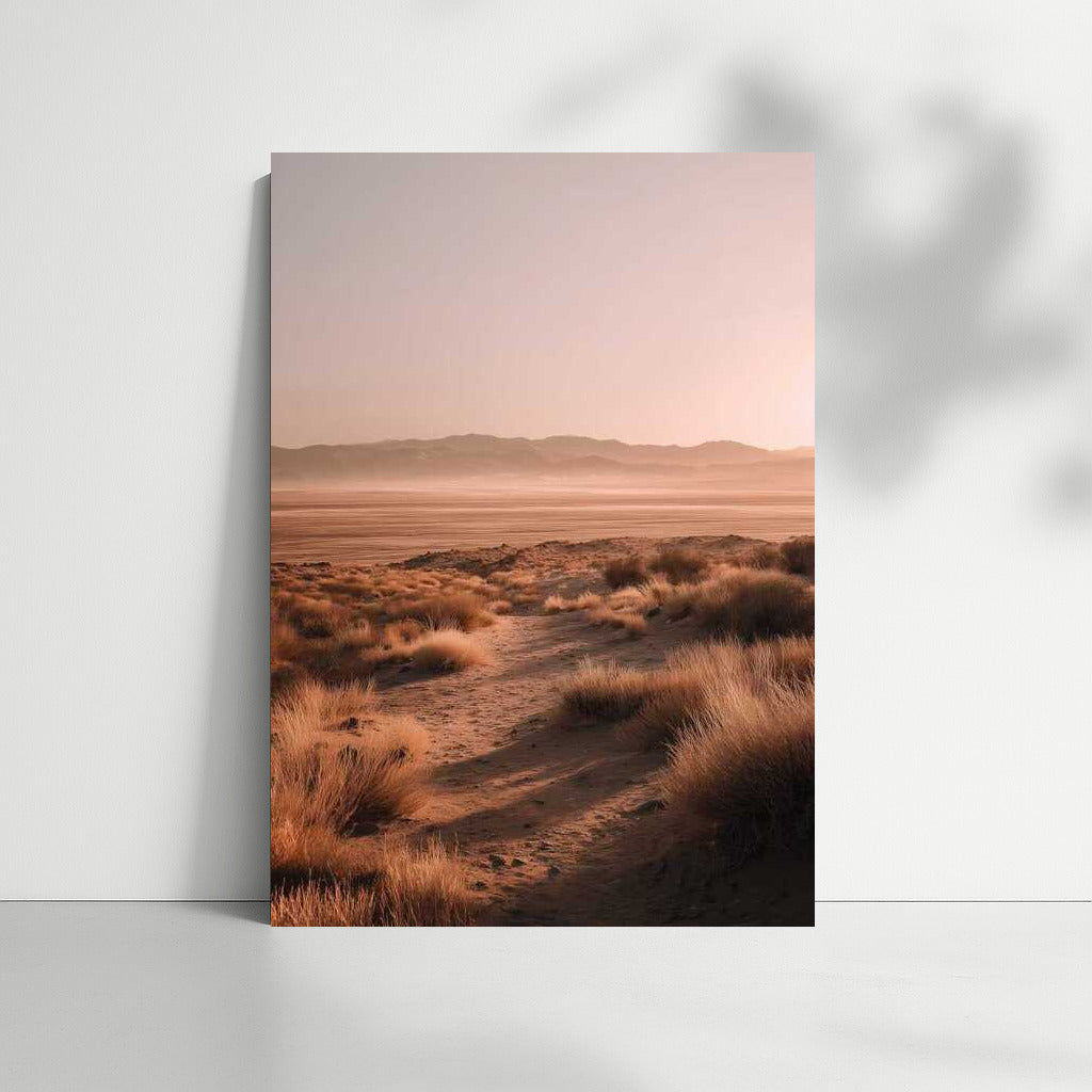 Endless Sands: Gentle Sun of the Desert