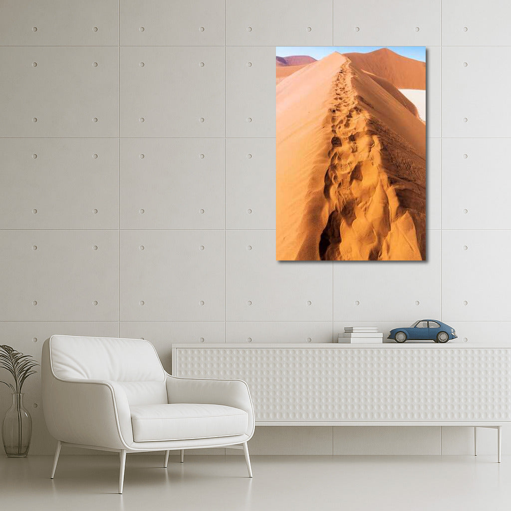 Sand Dune Trails: Nature Scenery and Desert Landscapes