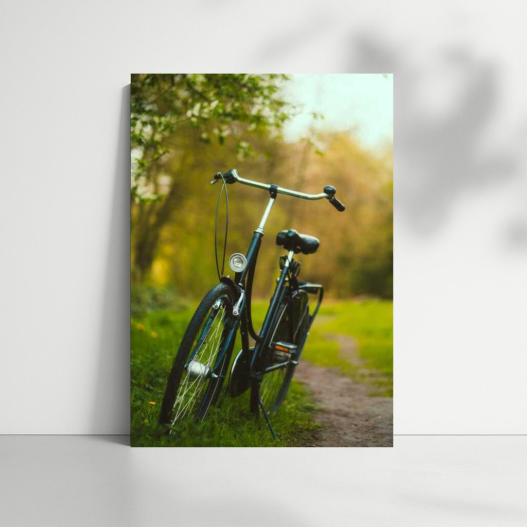 Vintage Bike in the Wilderness: A Journey into Nature