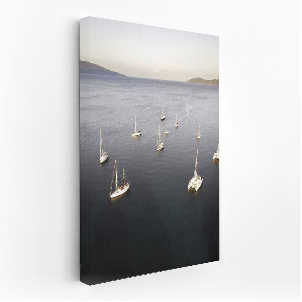 Freedom on Sail: Elegant Yachts on the Smooth Sea