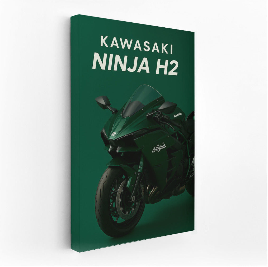 Speed and style: Kawasaki Ninja H2 for true connoisseurs