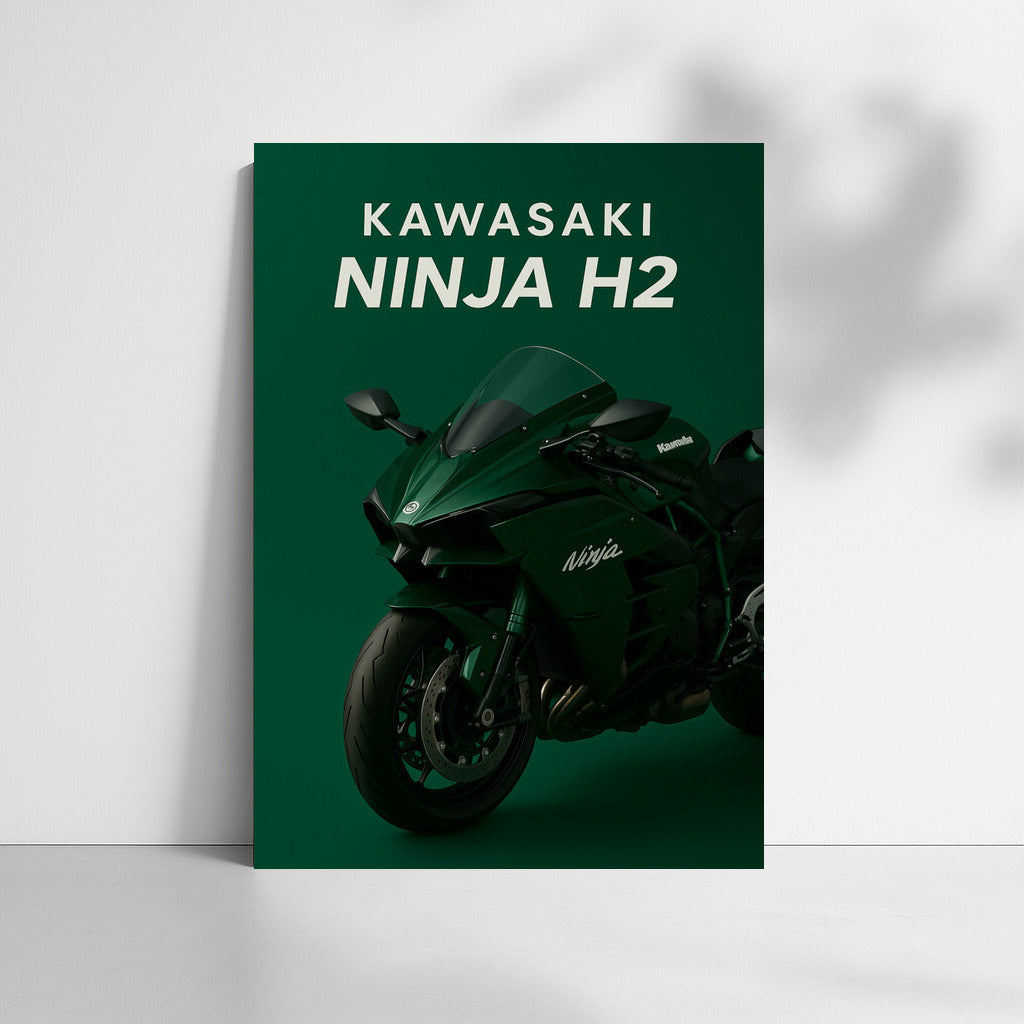 Speed and style: Kawasaki Ninja H2 for true connoisseurs