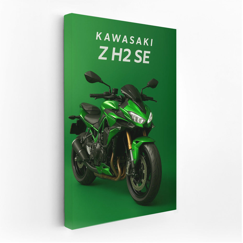 Kawasaki Z H2 SE: Speed and Power for Adrenaline Junkies