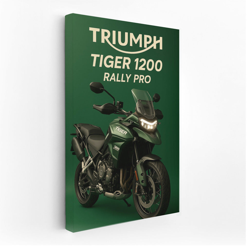 Triumph Tiger 1200 Rally Pro: Travel Energy