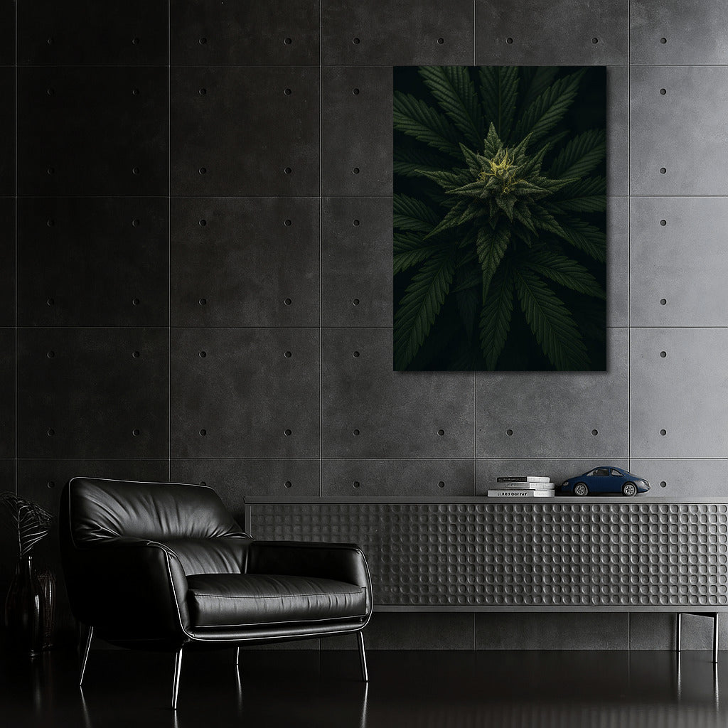 Live Symphony of the Cannabis Leaf