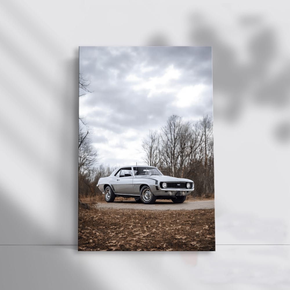 1969 Chevy Camaro SS in Nature - Classic American Muscle