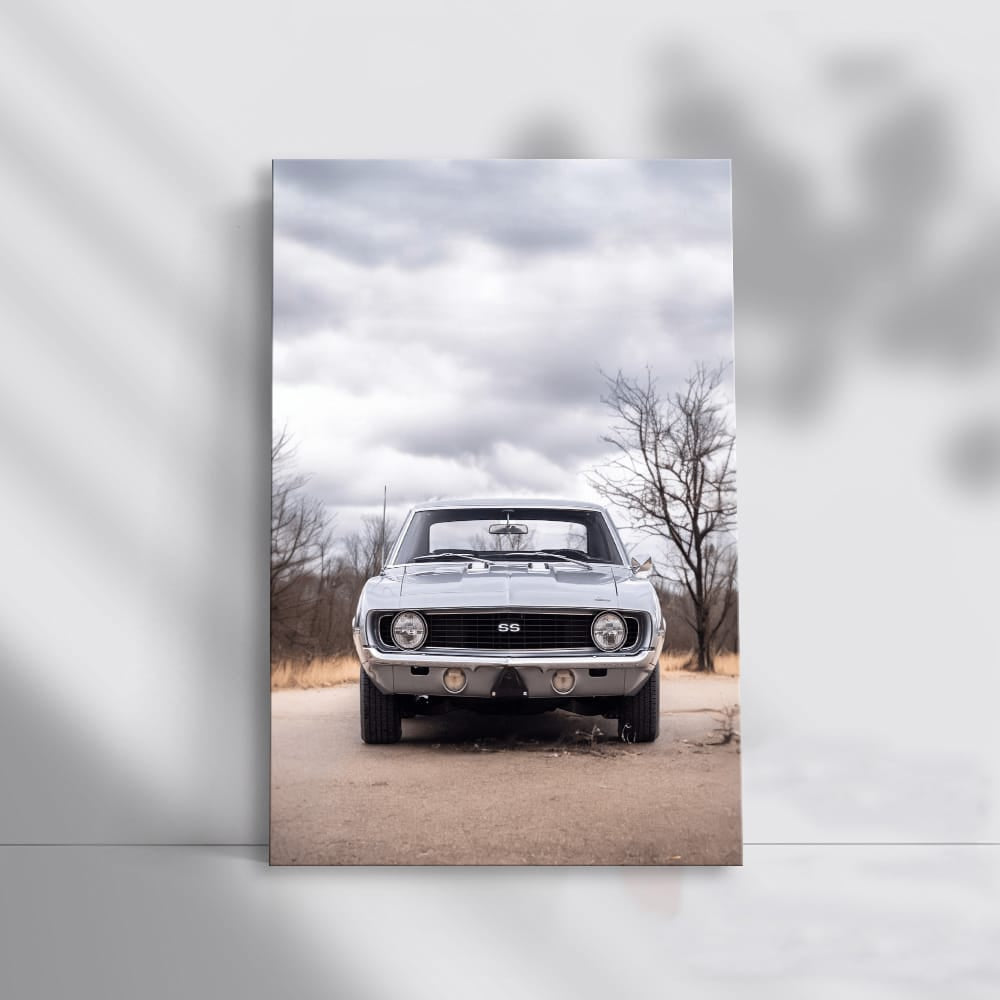 1969 Camaro SS in Nature - Classic Muscle Beauty