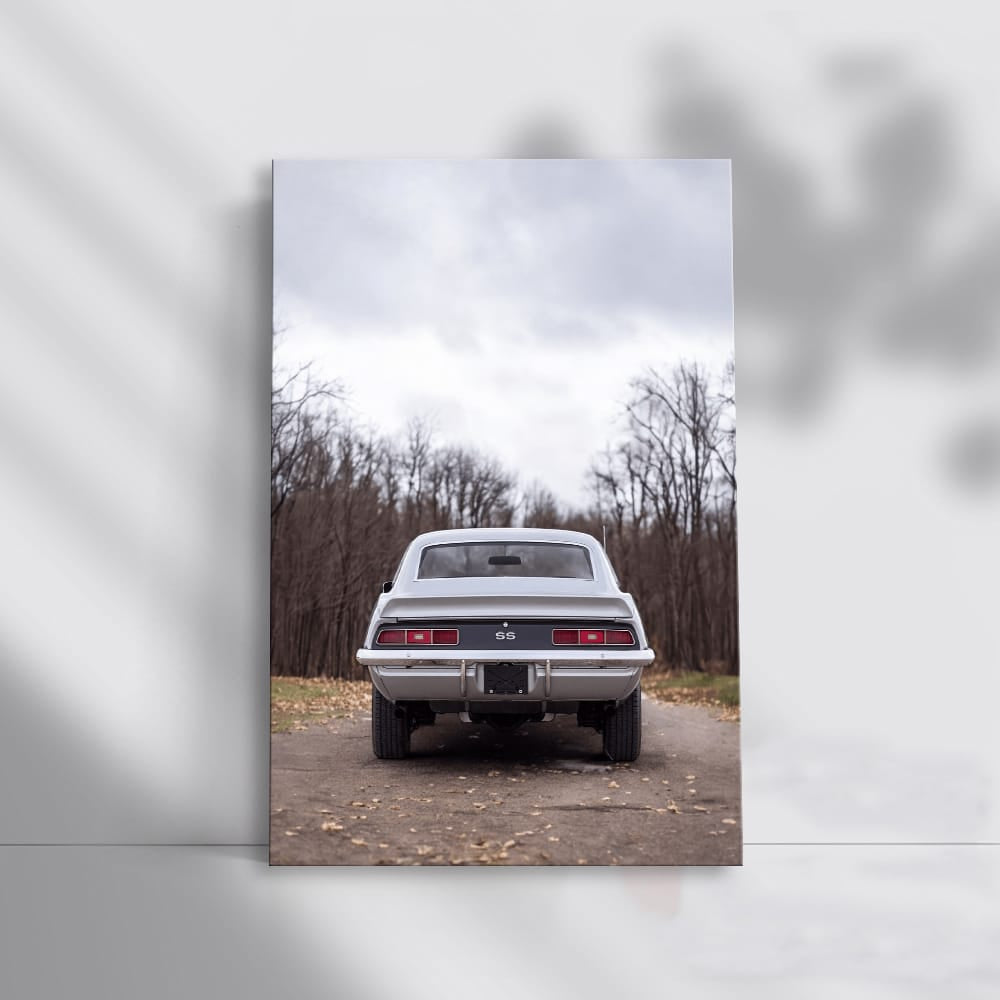 1969 Chevy Camaro SS - Iconic Muscle in Wild Surroundings