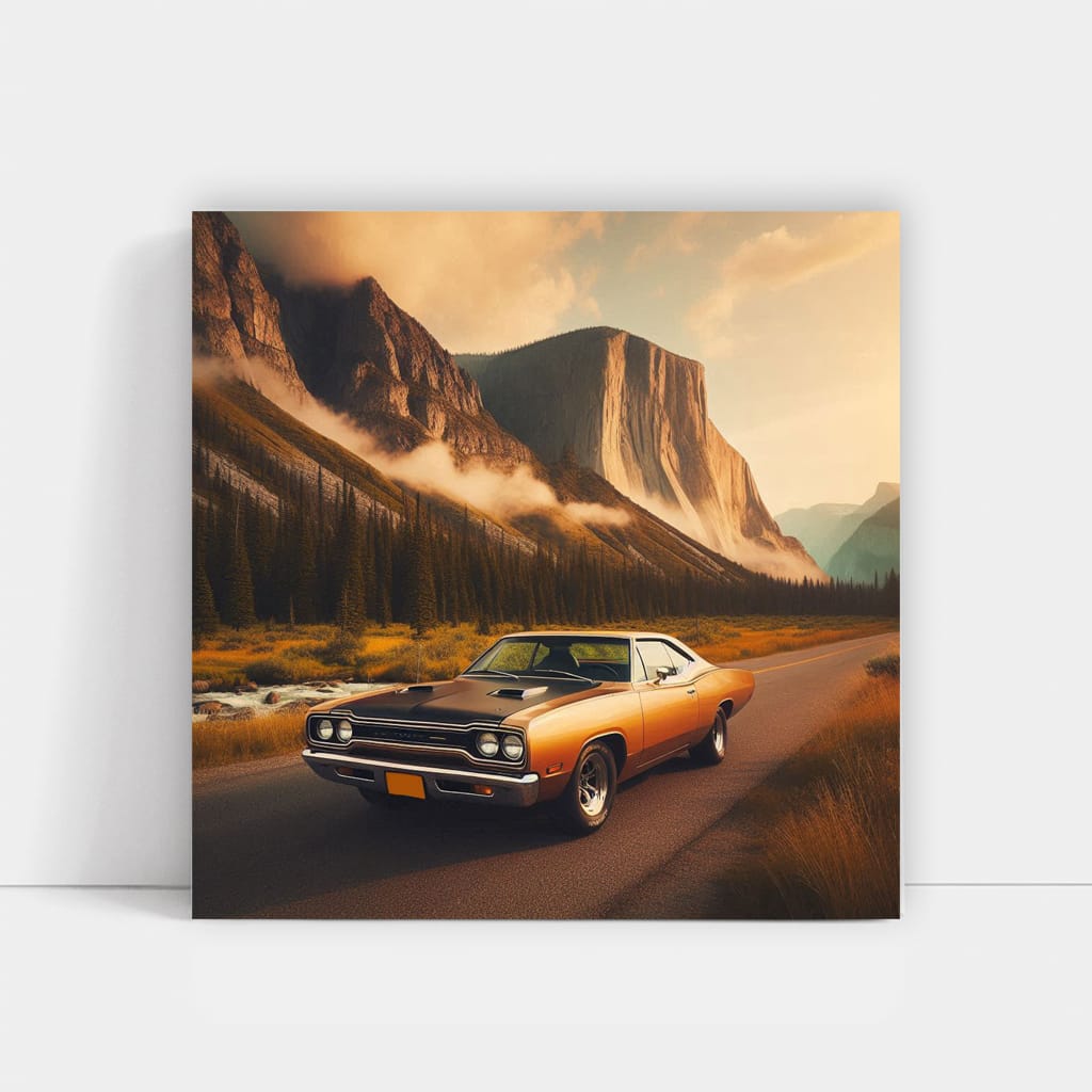 1970 Plymouth Road Runner in National Park - Classic Muscle