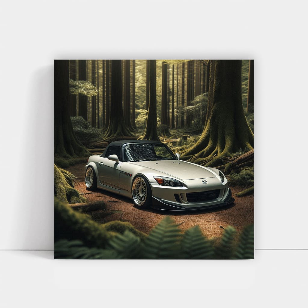 2001 Honda S2000 in Forest - True Performance Icon