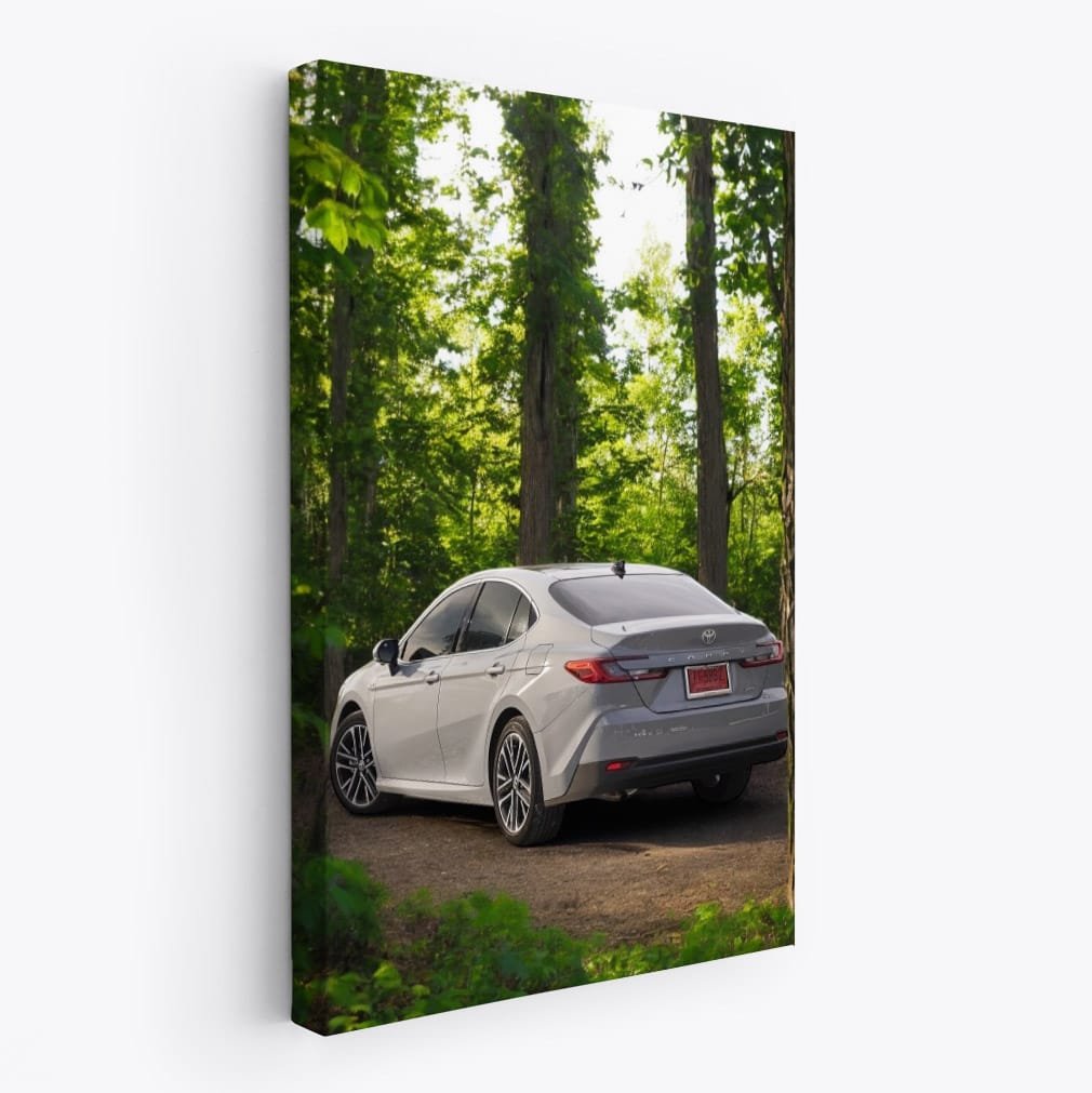 2025 Toyota Camry in Sunny Forest - Elegance in Motion - EnjoyStore