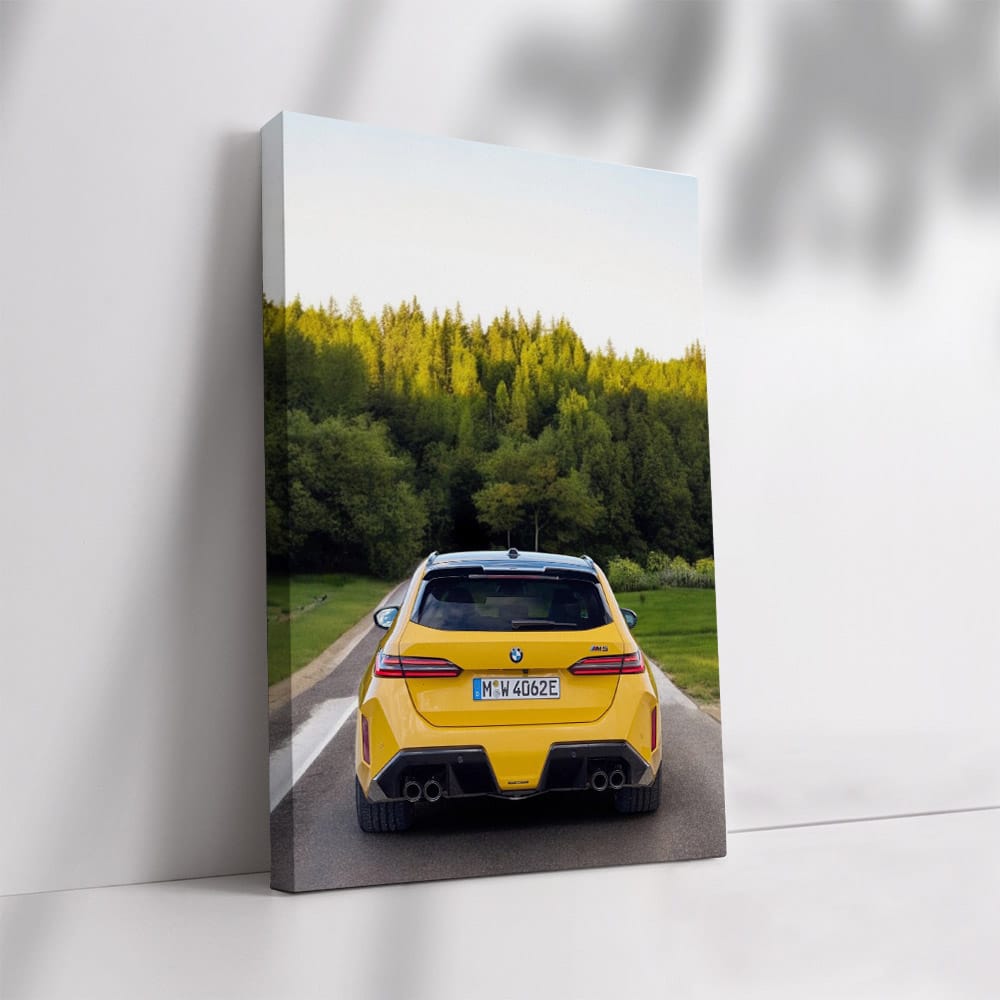 2025 BMW M5 Roaming Forest - Power Meets Elegance