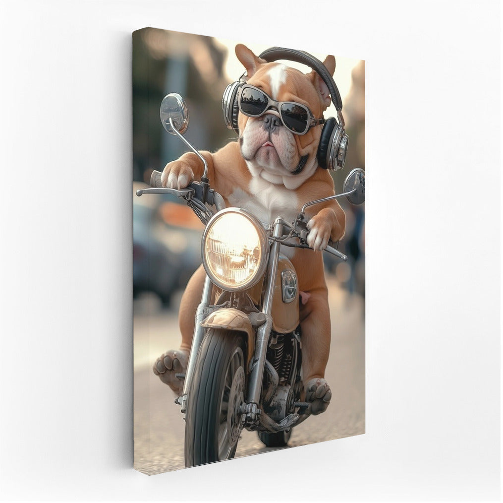 Biker Bulldog: Master of the Roads