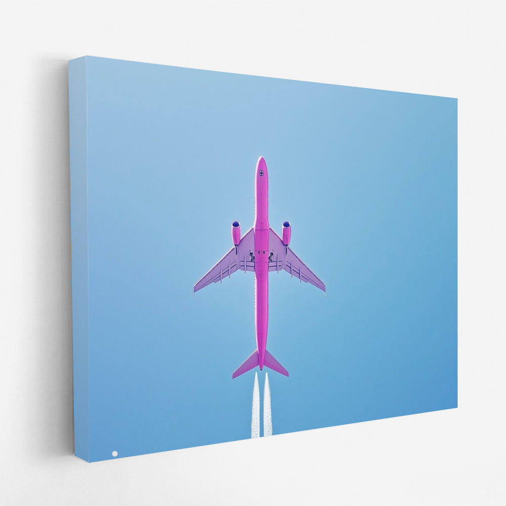 Pink Pioneer of the Sky