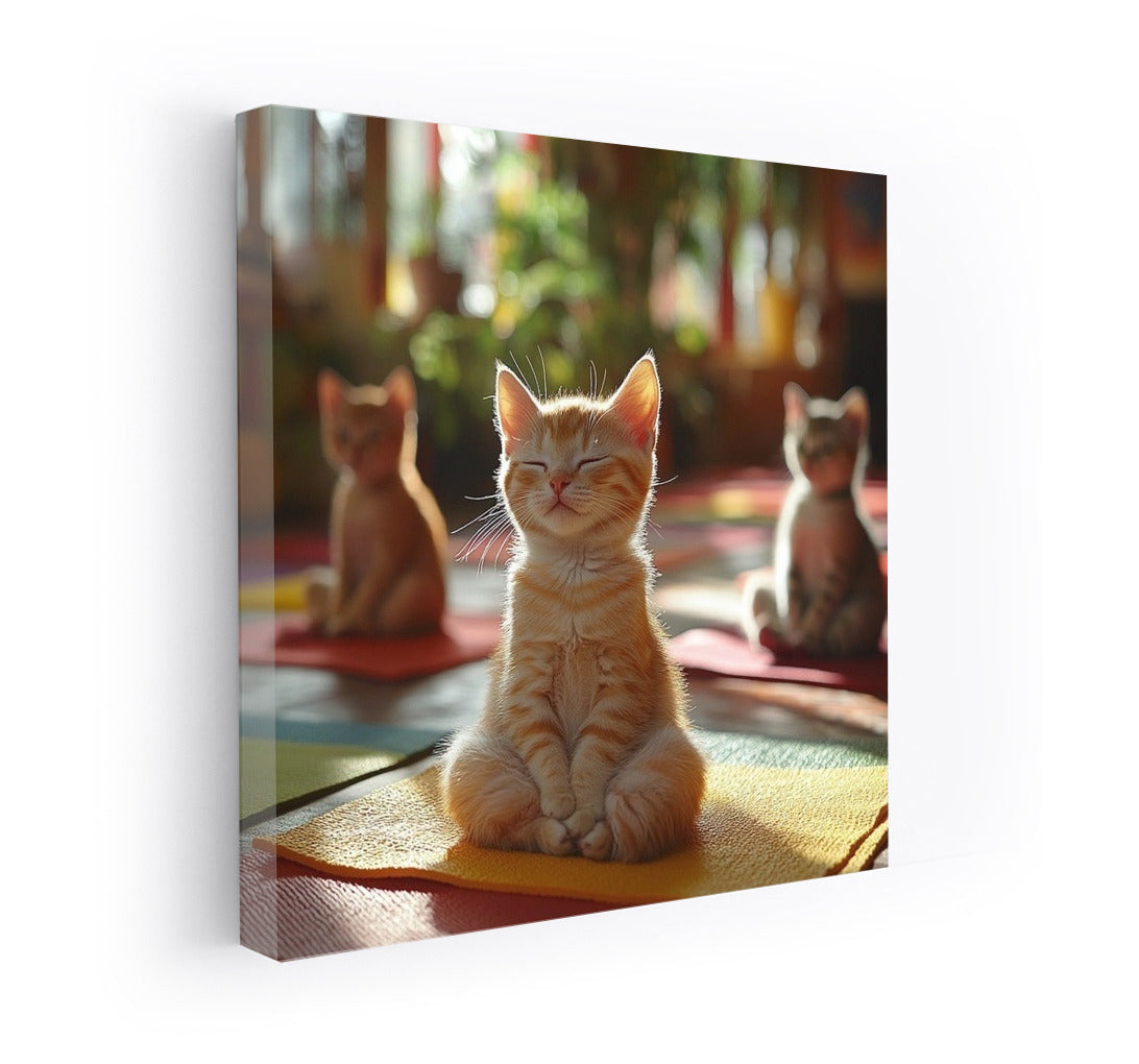 Solar Meditation of Kittens