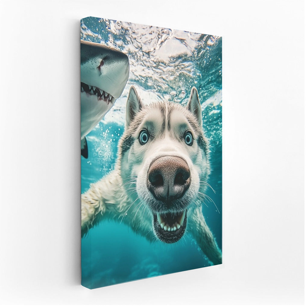 Friendship Whirlwind: Husky and Shark