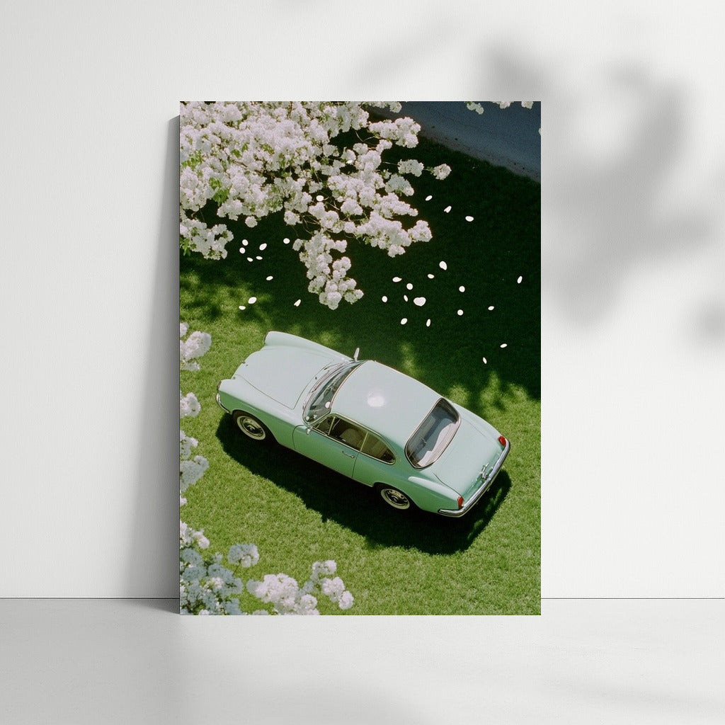 Blooming Jaguar: Time in the Captivity of Branches