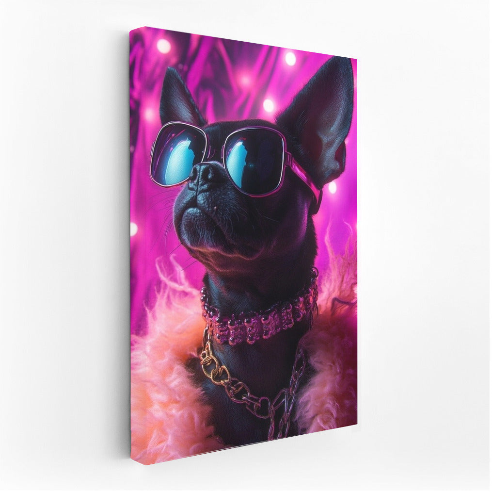 Glamorous Gentledog