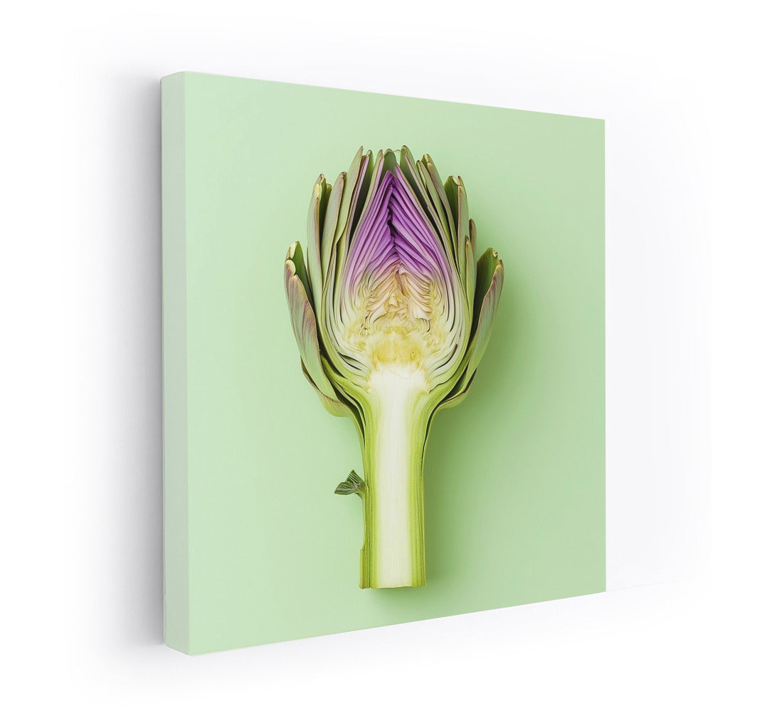 Harmony of the Artichoke: Geometry of Freshness