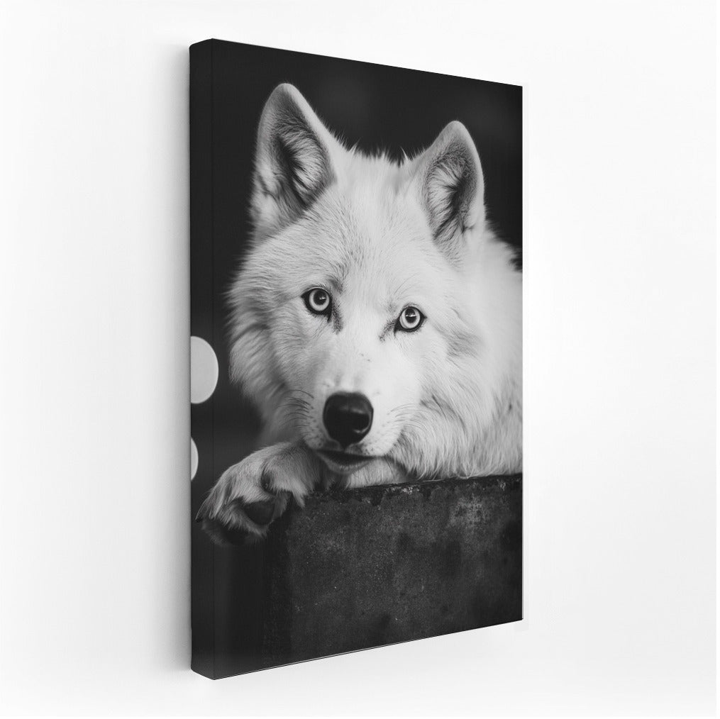 Wolf: Majesty and Mystery