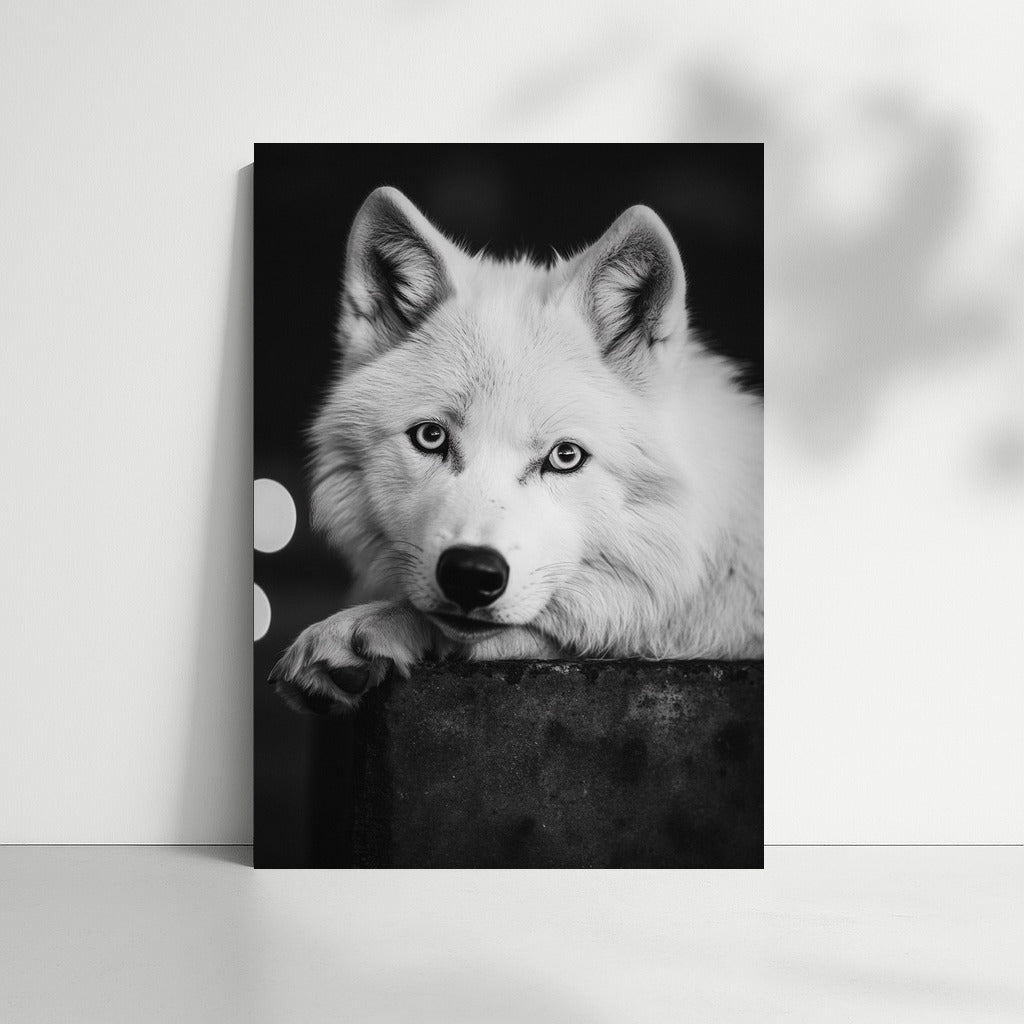 Wolf: Majesty and Mystery