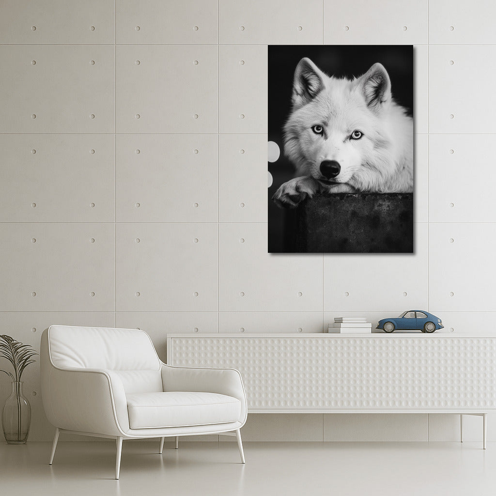 Wolf: Majesty and Mystery