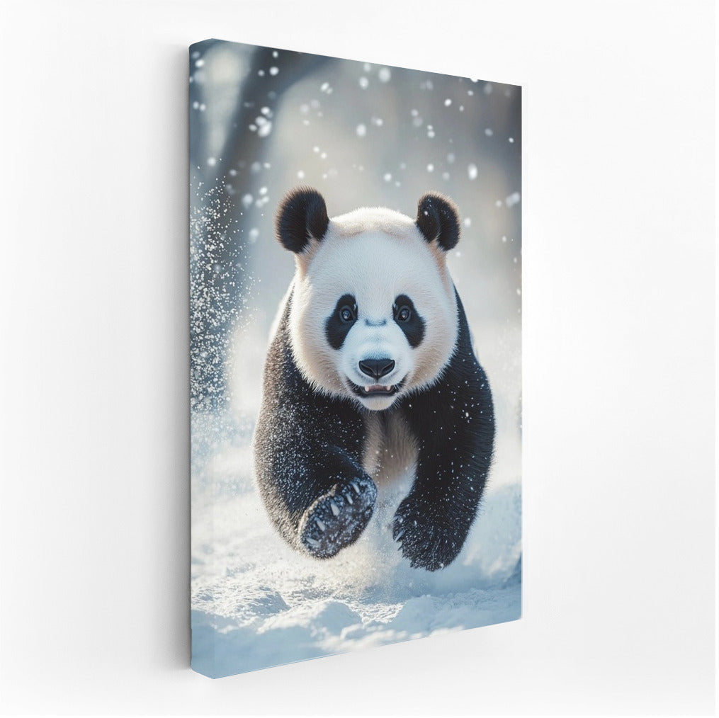 Panda Whirlwind in the Snow Curtain