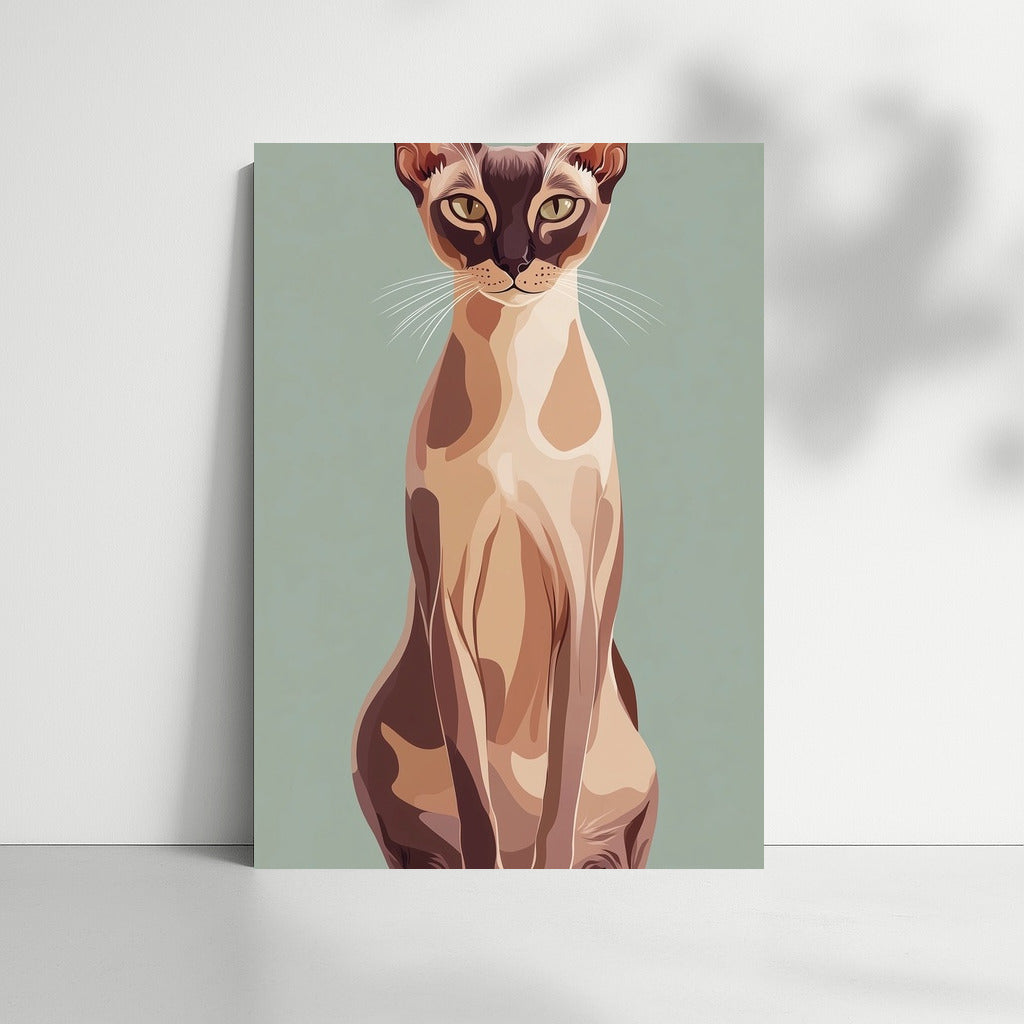 The Magic of the Cat's Eye