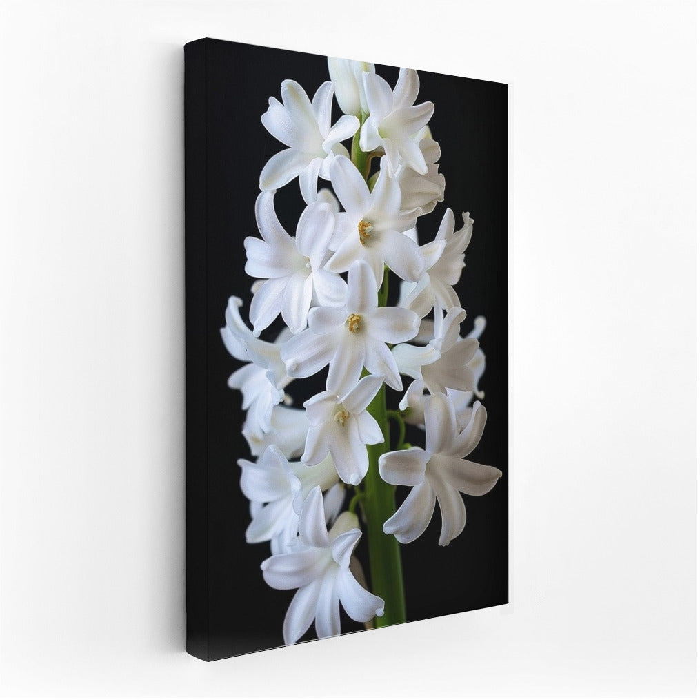 Snow White Hyacinth: Symphony of Freshness