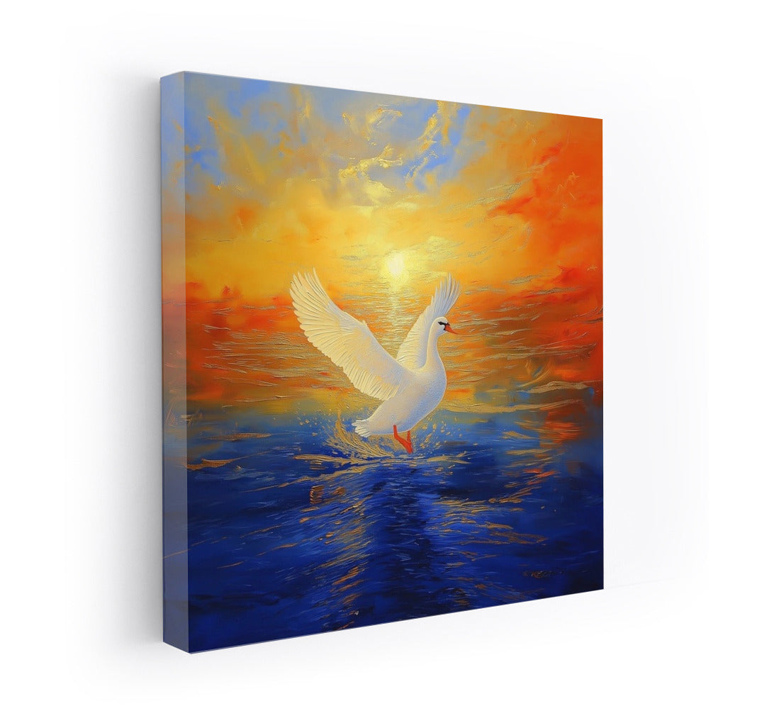 Swan in the Sunset's Embrace