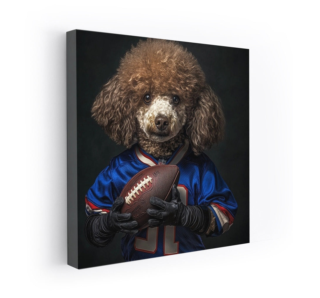 Poodle in the Big Game