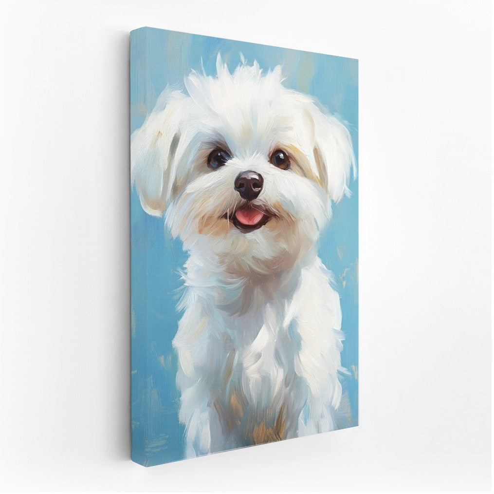 Sunny Fluffy: Joy in Colors