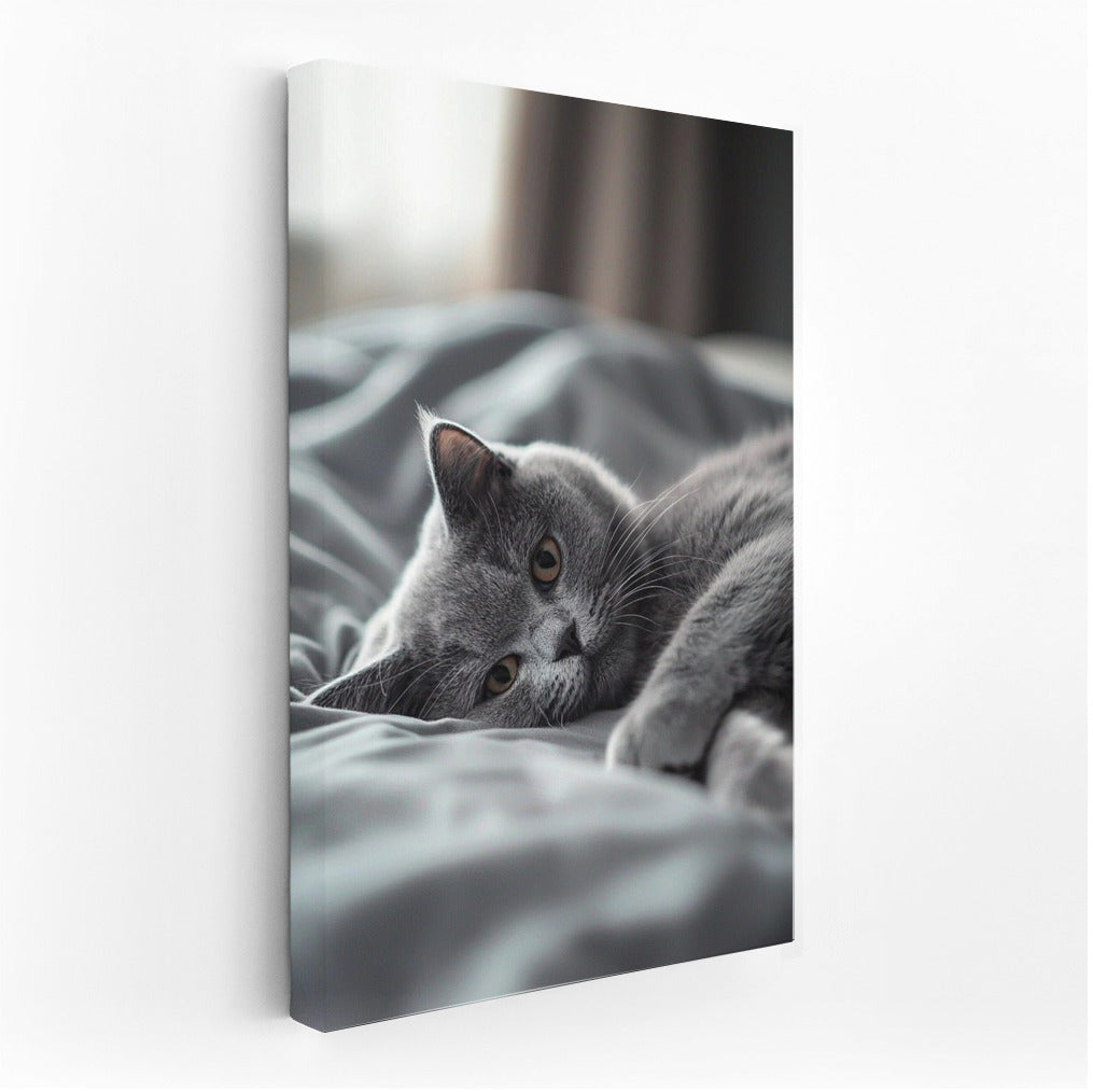 Silver Look of Comfort