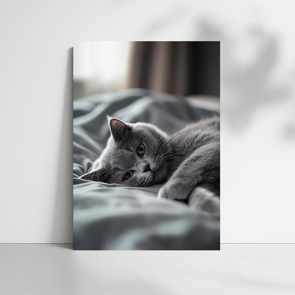 Silver Look of Comfort
