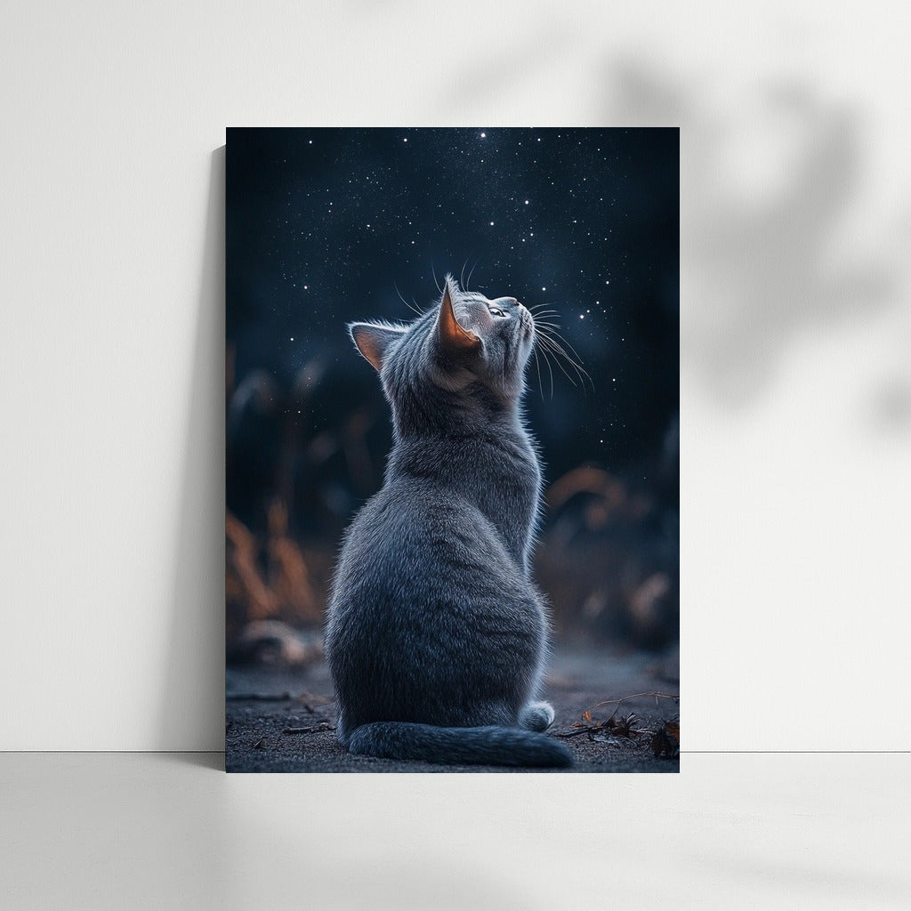 Kitten's Starry Dreams