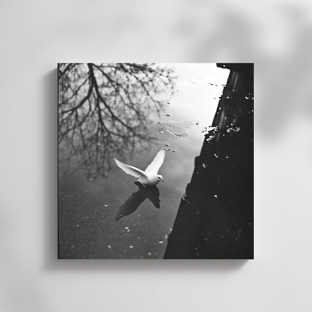Wings over the Mirror