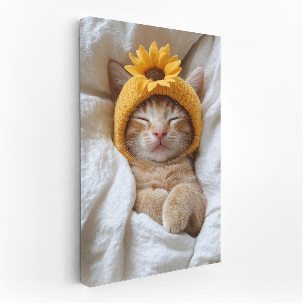 Sunny Purr
