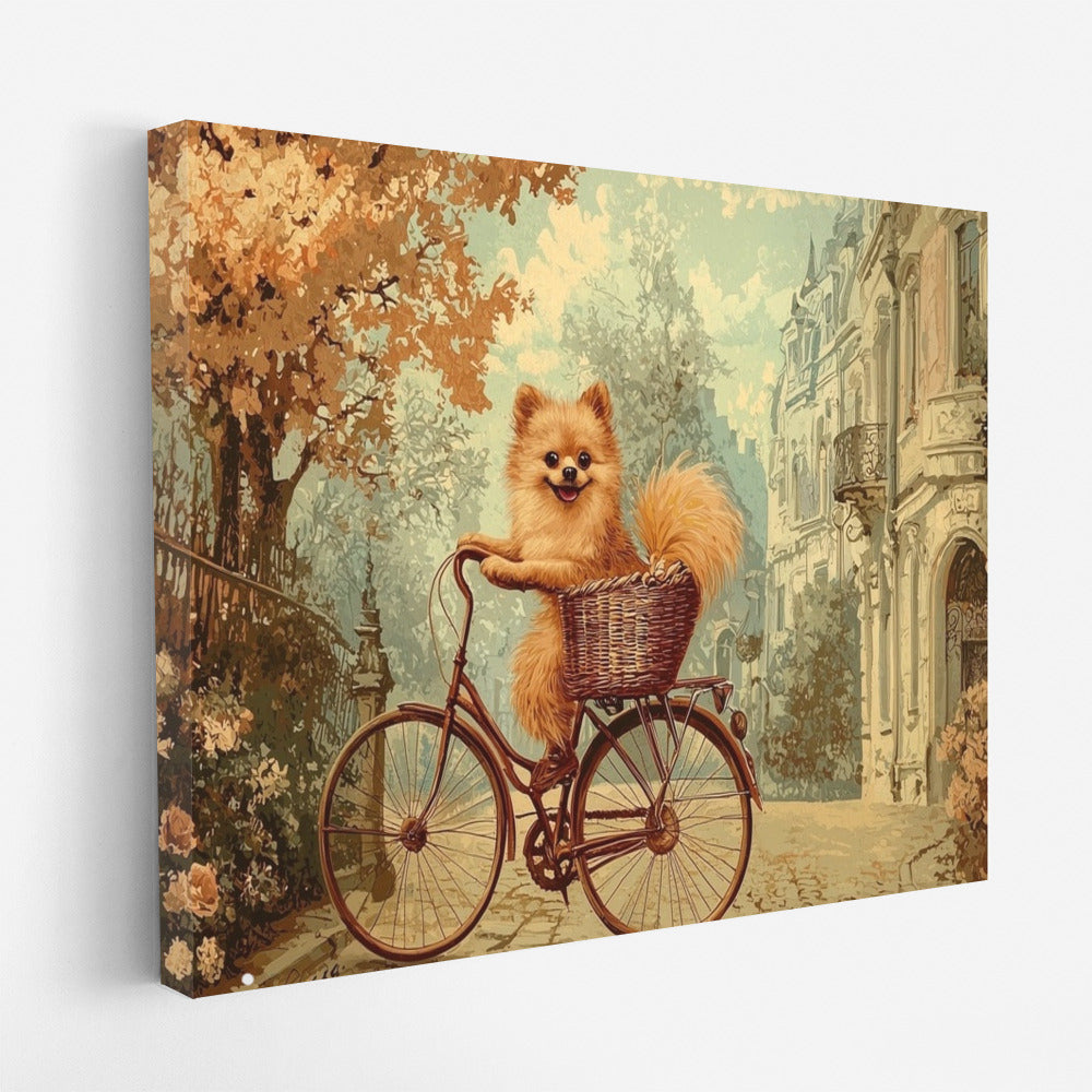 Spitz on Wheels of Happiness