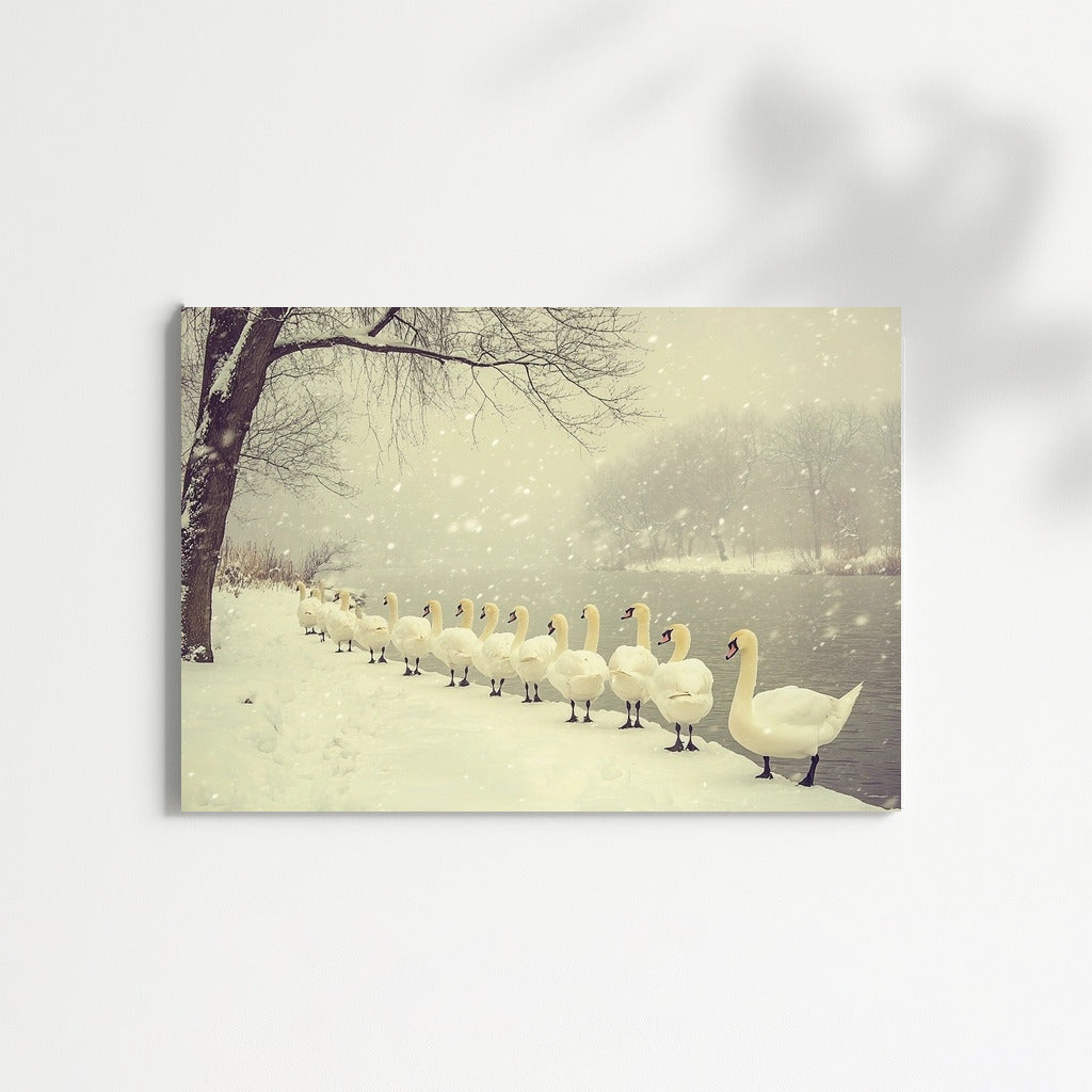 Snow Waltz of the Swans