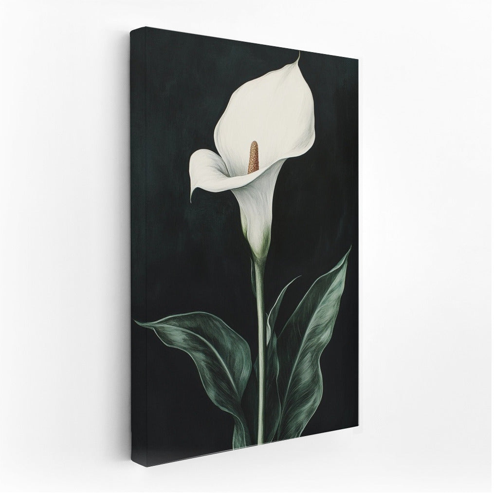 The Secret of the Snow-White Calla