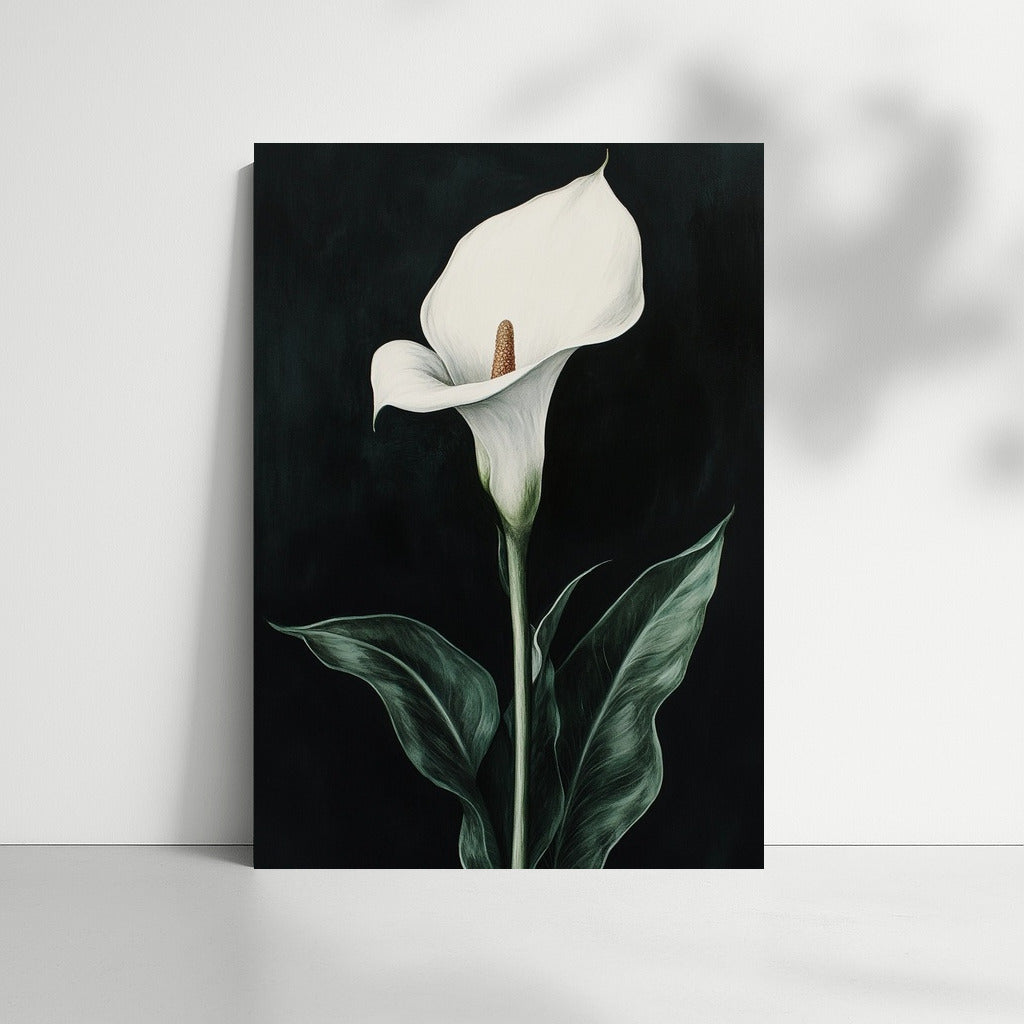 The Secret of the Snow-White Calla
