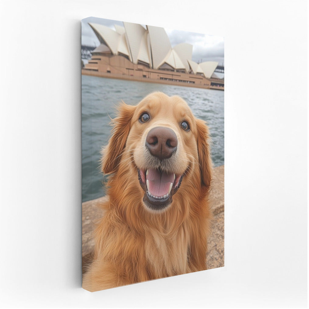 Sydney's Golden Glow
