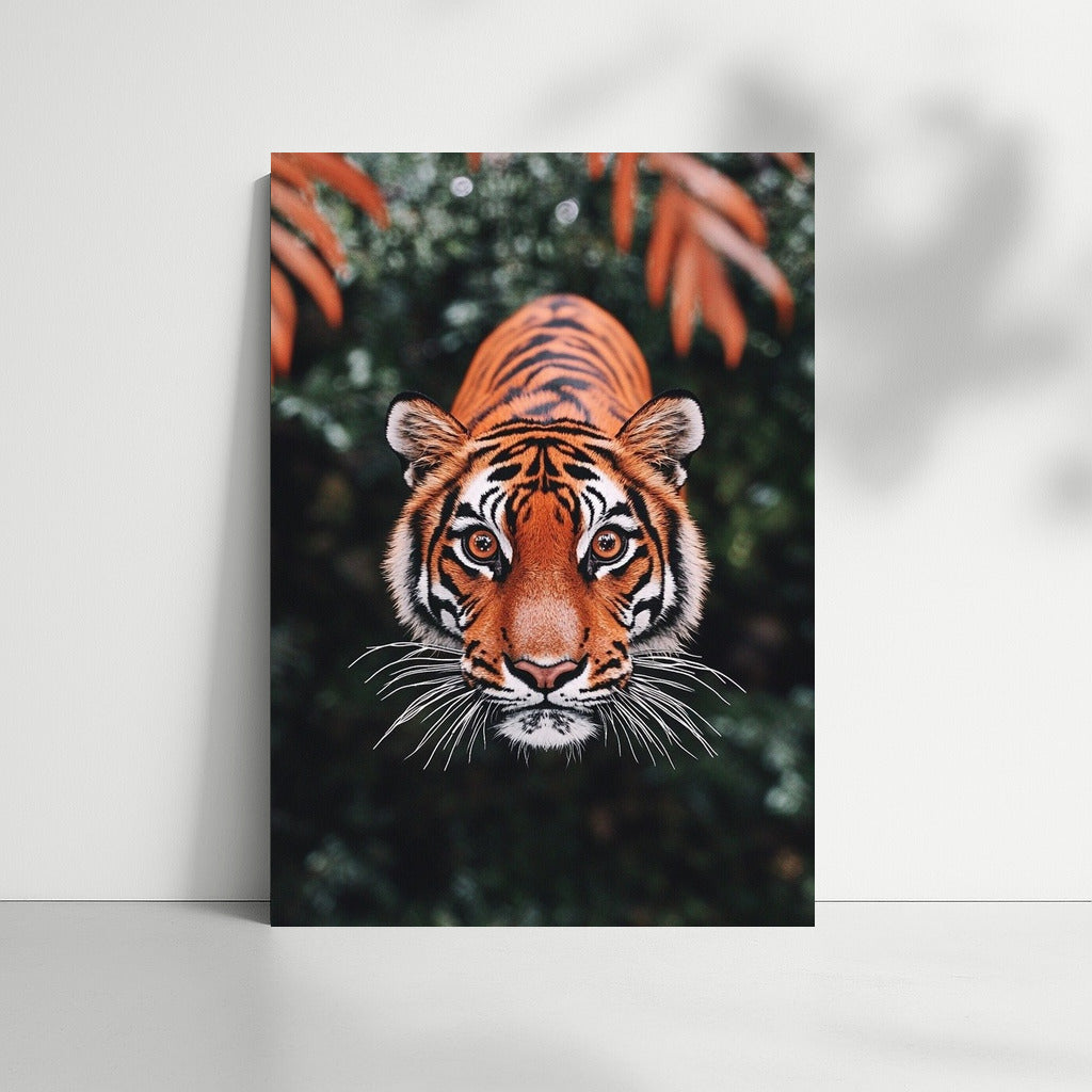 Harmony of the Predator: The Majesty of the Tiger