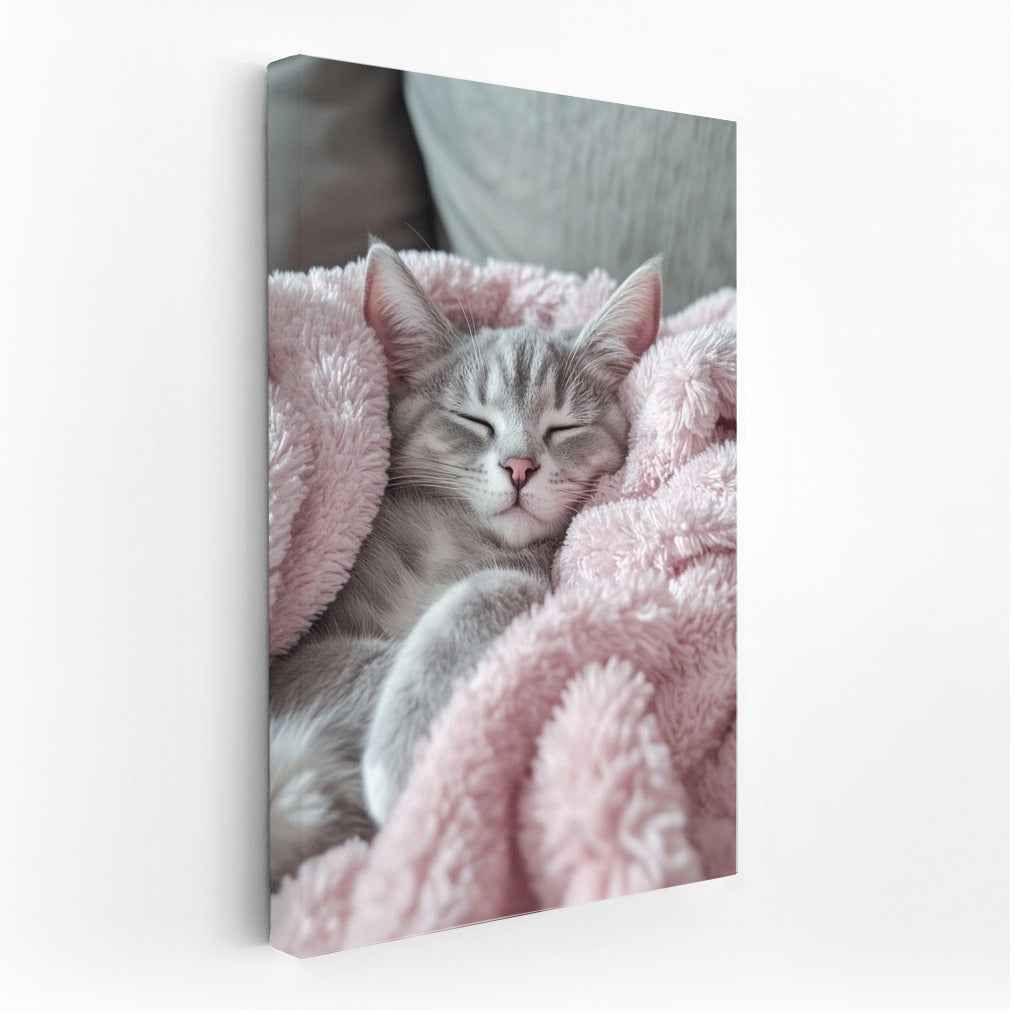 Pink Cocoon: The Comfort of Cat Tenderness