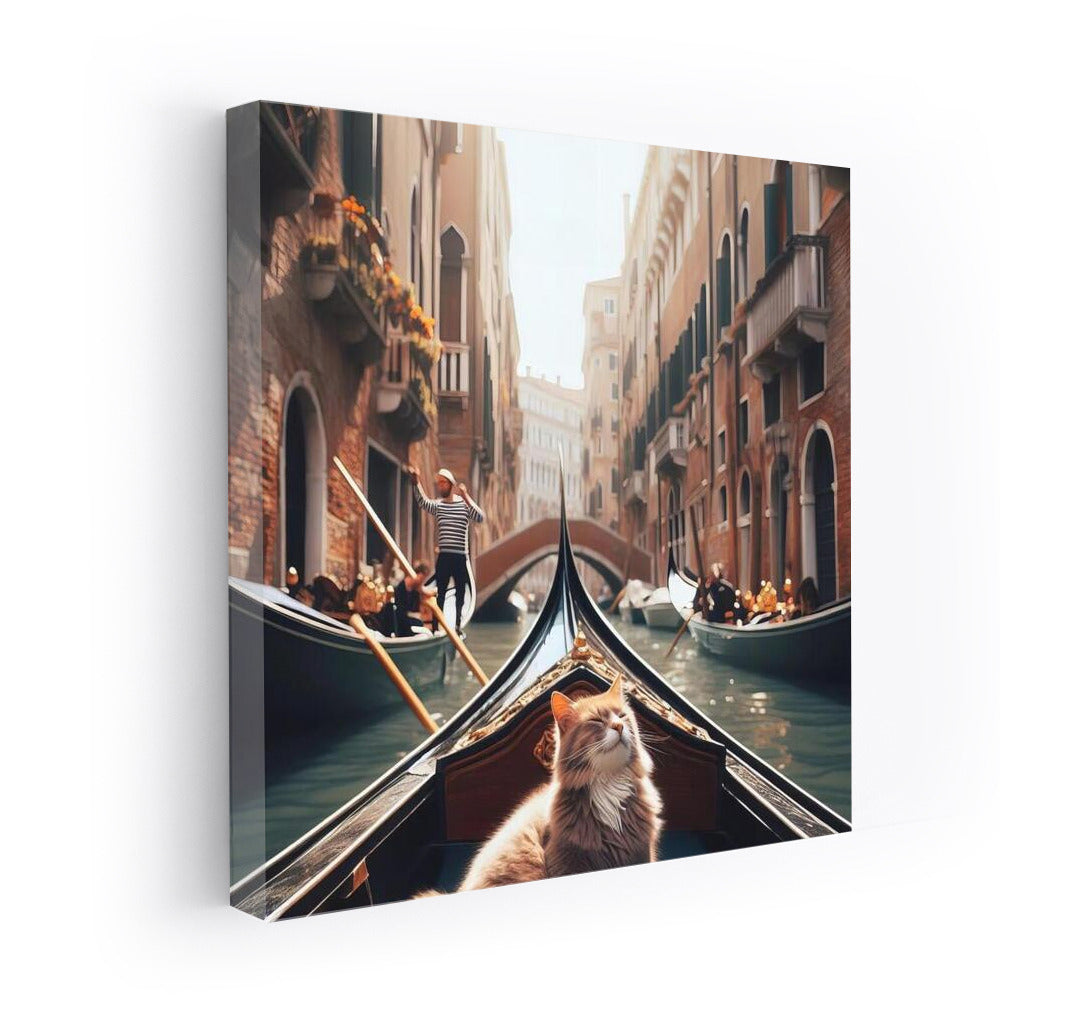 The Venetian Boatman: Cat in Harmony