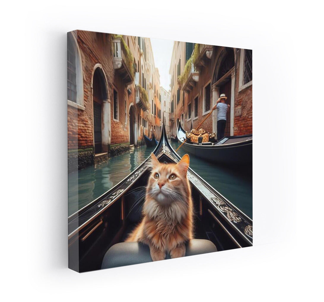 Venetian Flirting Cat