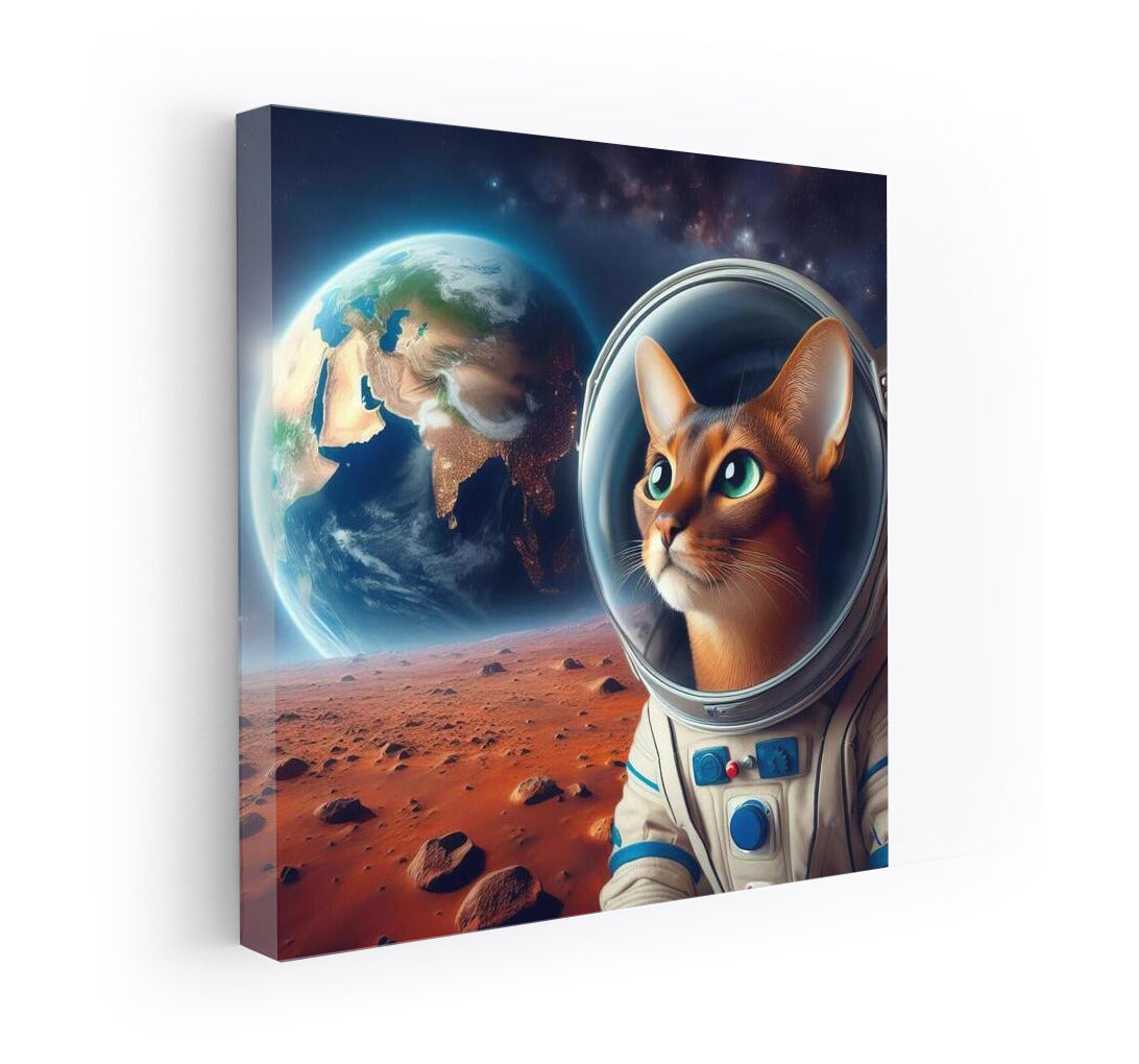 Space Abyssinian: Dreams of Earth from Mars