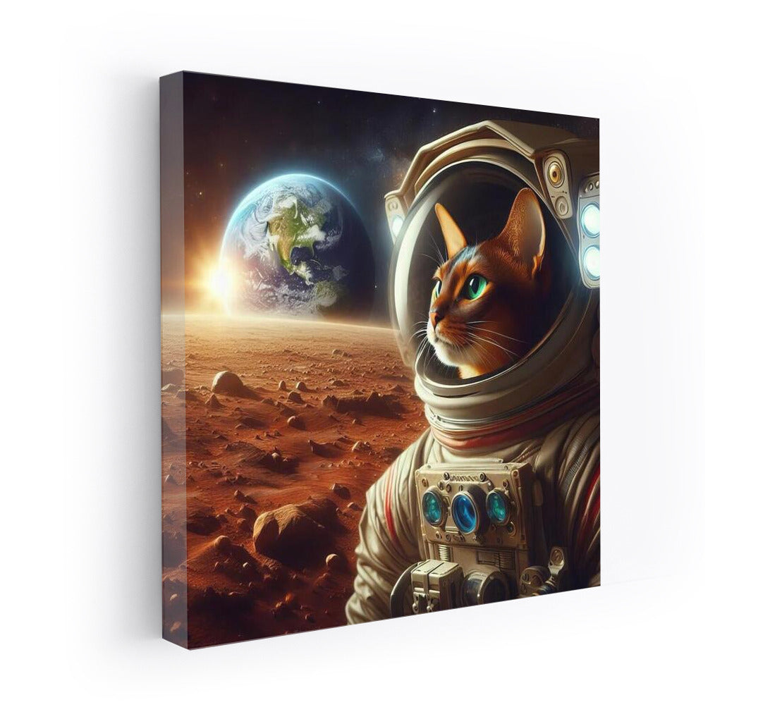 Abyssinian Cat in a Spacesuit: Interstellar Travel on Mars
